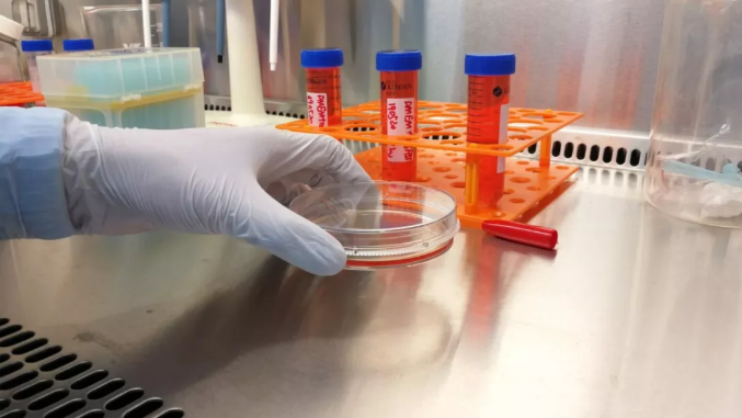 祝賀客戶(hù)樂(lè)維誘導(dǎo)多能干細(xì)胞（Ipsc）成功上市